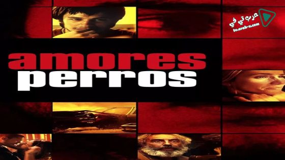 فيلم Amores Perros 2000 مترجم