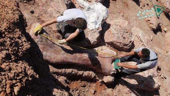 فيلم Attenborough and the Giant Dinosaur 2016 مترجم