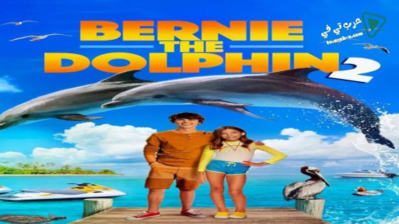 فيلم Bernie the Dolphin 2 2019 مترجم