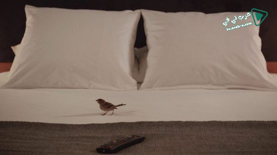 فيلم Bird People 2014 مترجم