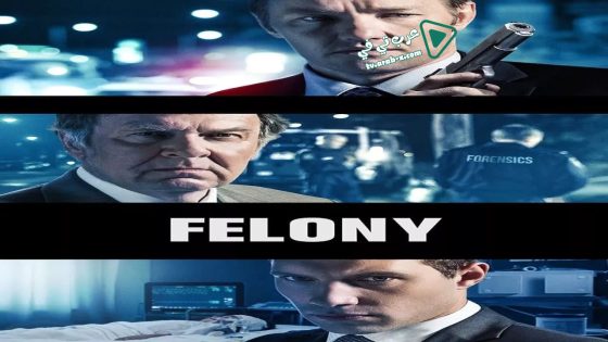فيلم Felony 2013 مترجم