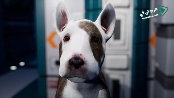 فيلم Jurassic Bark 2018 مترجم