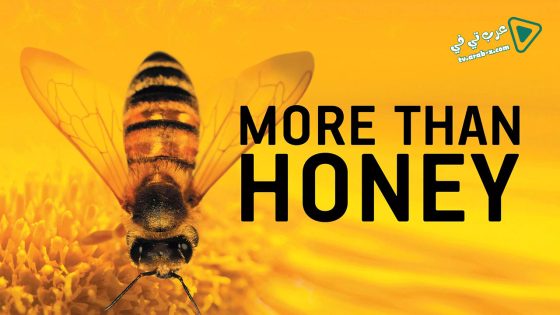 فيلم More Than Honey 2012 مترجم