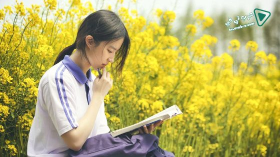 فيلم Never Gone 2016 مترجم