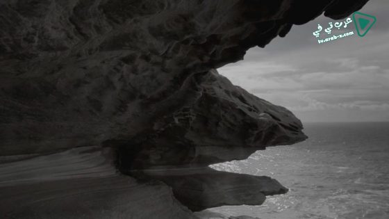 فيلم Observance 2015 مترجم