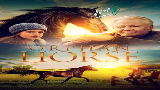 فيلم Orphan Horse 2018 مترجم