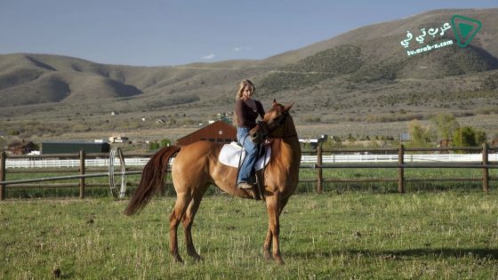 فيلم Storm Rider 2013 مترجم