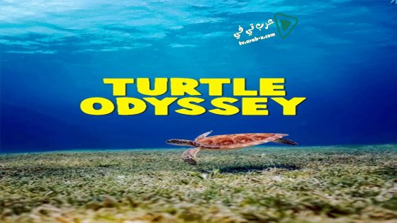 فيلم Turtle Odyssey 2018 مترجم