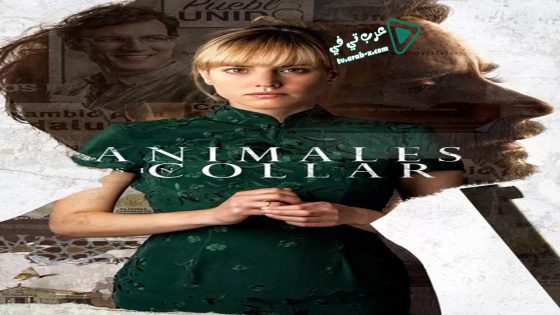 فيلم Unbridled 2018 مترجم